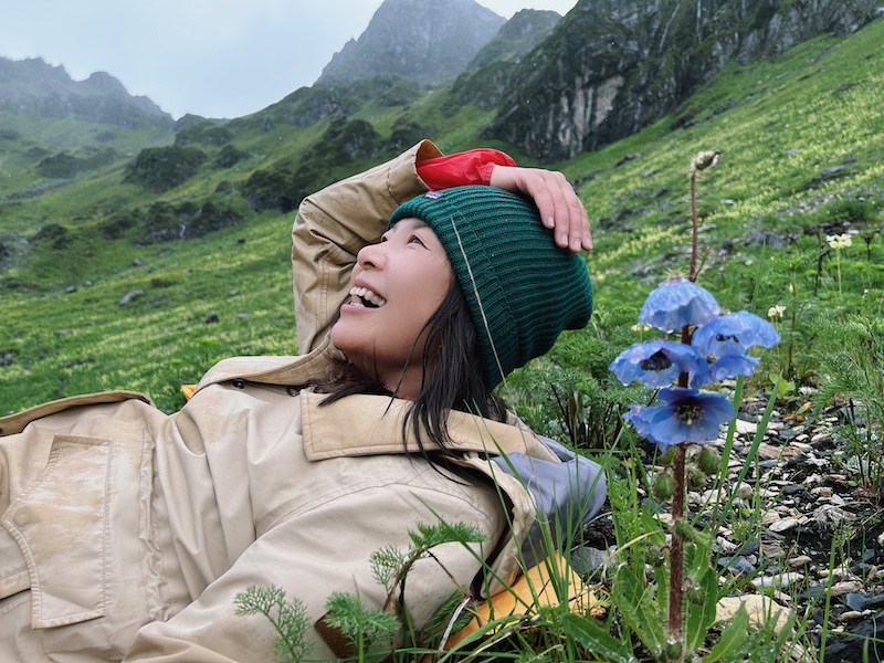 碧罗雪山海拔3800米附近的长叶绿绒蒿    苏娅供图
