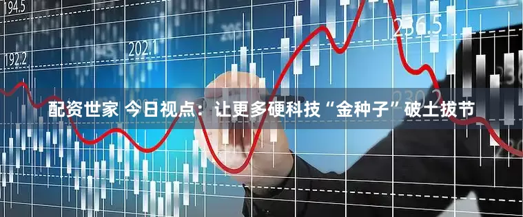 配资世家 今日视点：让更多硬科技“金种子”破土拔节