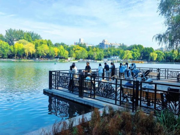 迪时策略 “一老一小”各有所乐，青年湖公园升级“全龄友好”