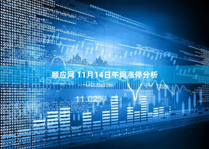 顺应网 11月14日午间涨停分析